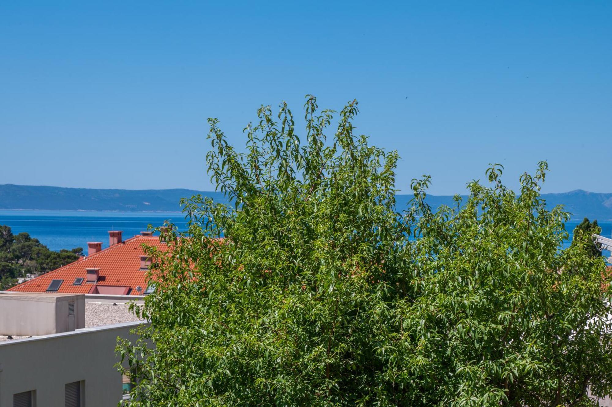 Apartmani Sani Макарська Екстер'єр фото